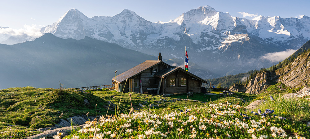 Hauptbild Jungfrau Region Tourismus AG